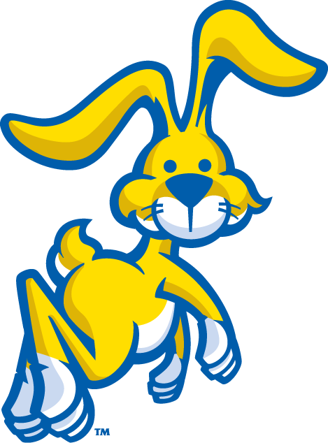 South Dakota State Jackrabbits 2008-Pres Misc Logo v2 diy DTF decal sticker